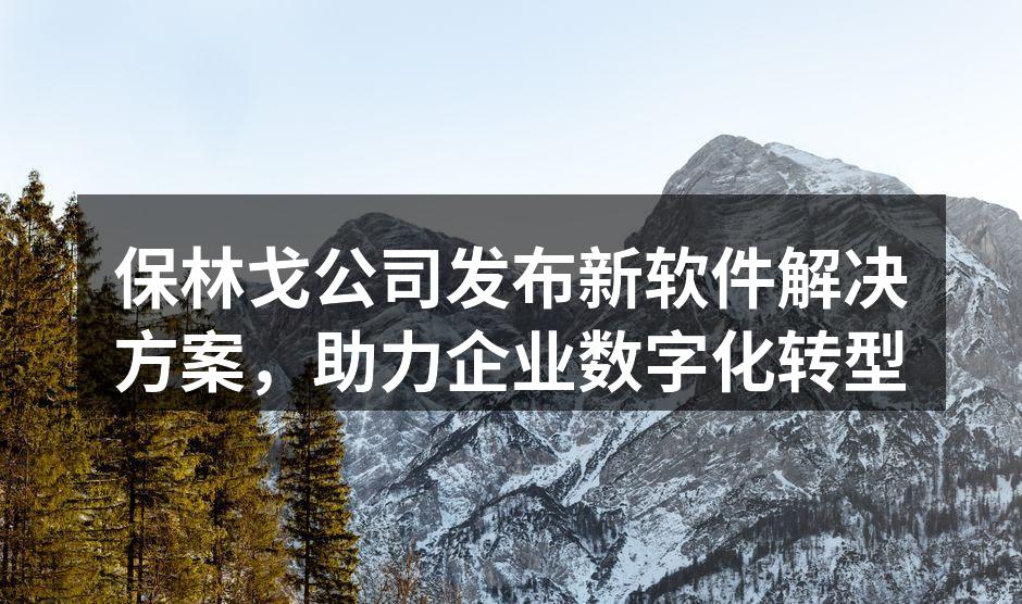 保林戈公司新软件发布会现场