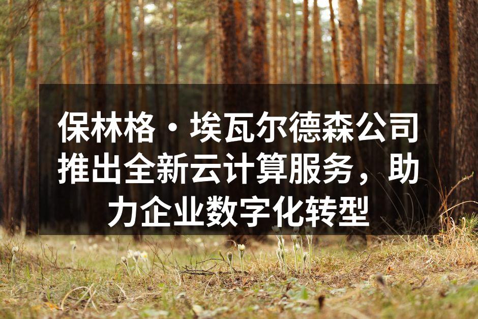 保林格·埃瓦尔德森云计算服务发布会现场